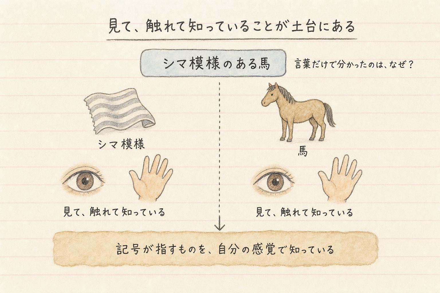 見て触れて知っていることが言葉の土台にある